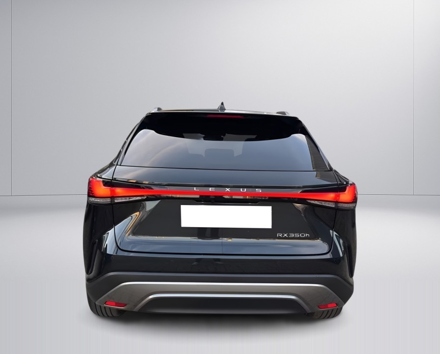 Lexus Seria RX 350h AWD Executive Line (4)