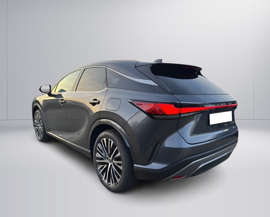 Lexus Seria RX 350h AWD Executive Line (5)
