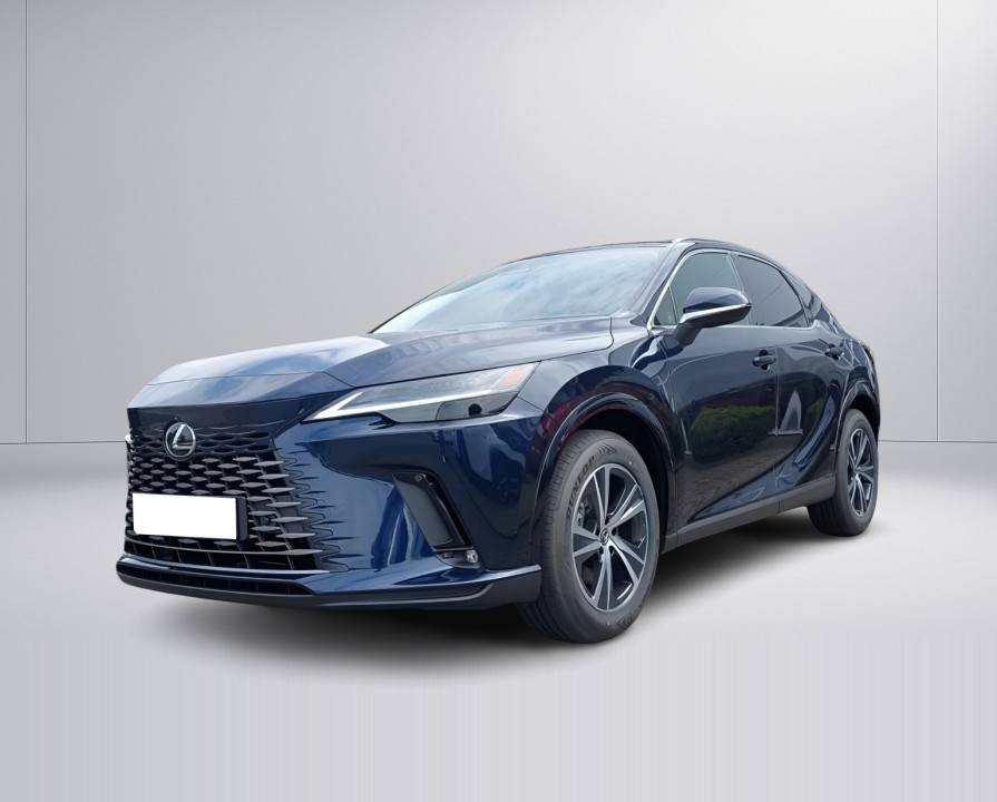 Lexus Seria RX 450h+ Business Line (5)