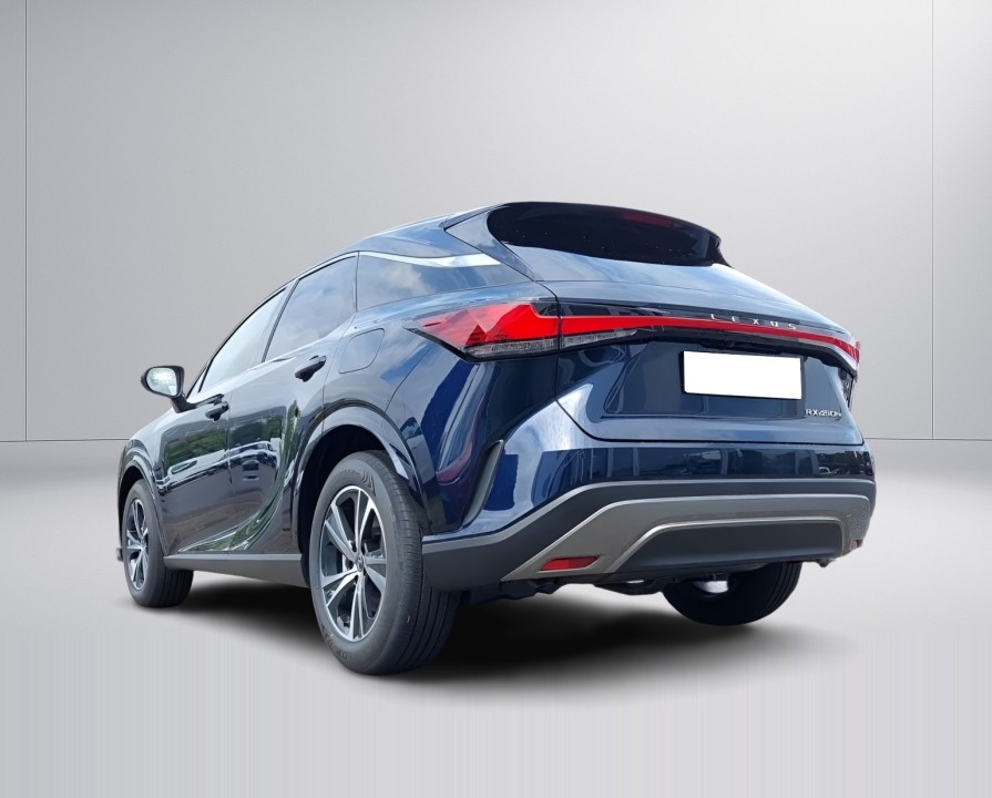 Lexus Seria RX 450h+ Business Line (3)