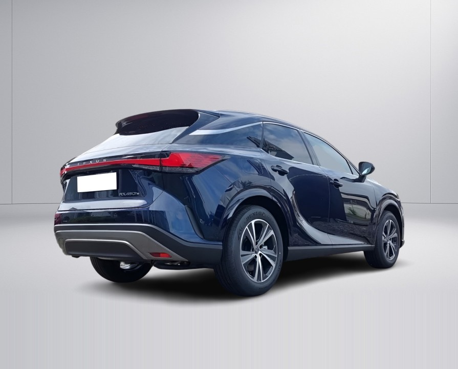 Lexus Seria RX 450h+ Business Line (2)