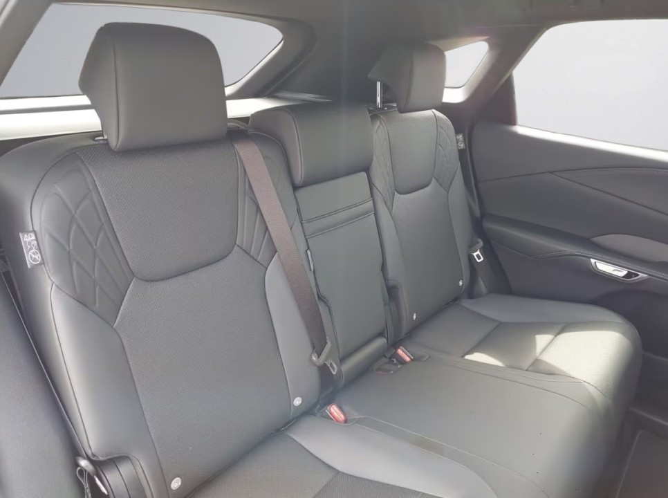 Lexus Seria RX 450h+ Business Line - foto 13