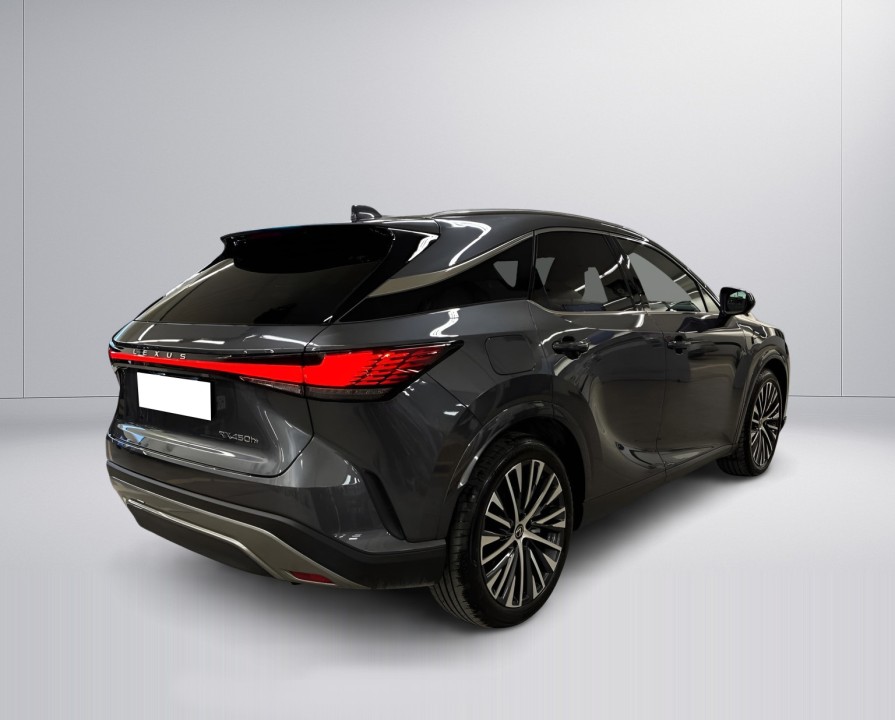 Lexus Seria RX 450h+ AWD Executive Line (3)