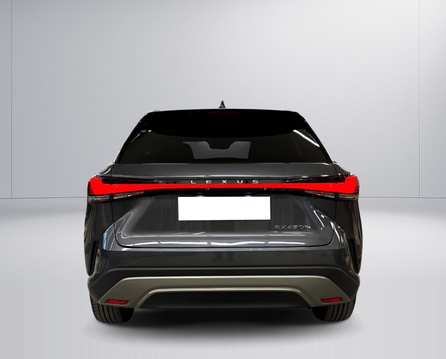 Lexus Seria RX 450h+ AWD Executive Line (4)