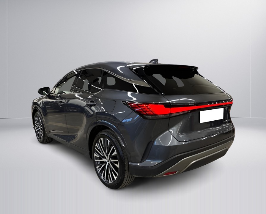 Lexus Seria RX 450h+ AWD Executive Line (5)