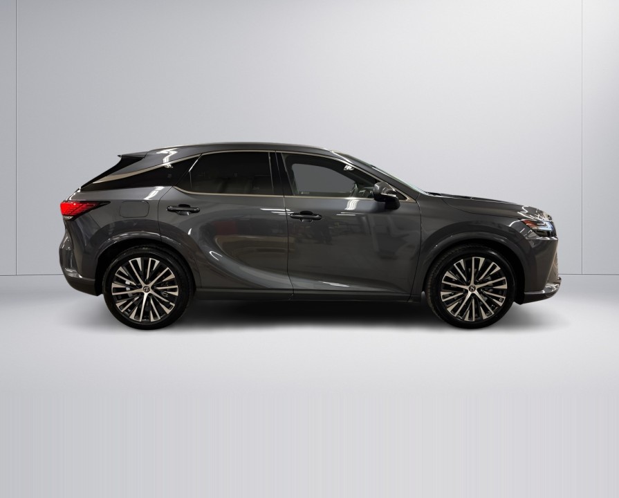 Lexus Seria RX 450h+ AWD Executive Line (2)