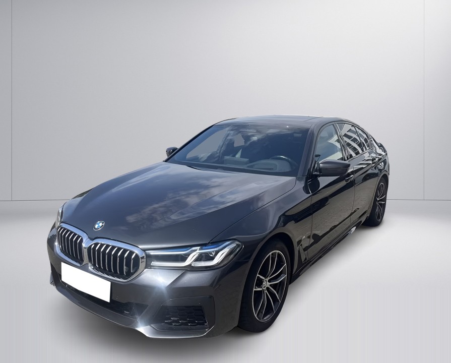 BMW Seria 5 530d M-Sport (2)