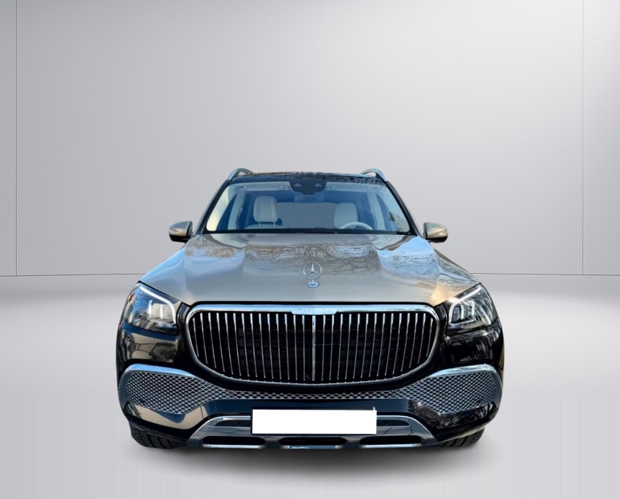Mercedes-Benz GLS Maybach 600 4MATIC (5)