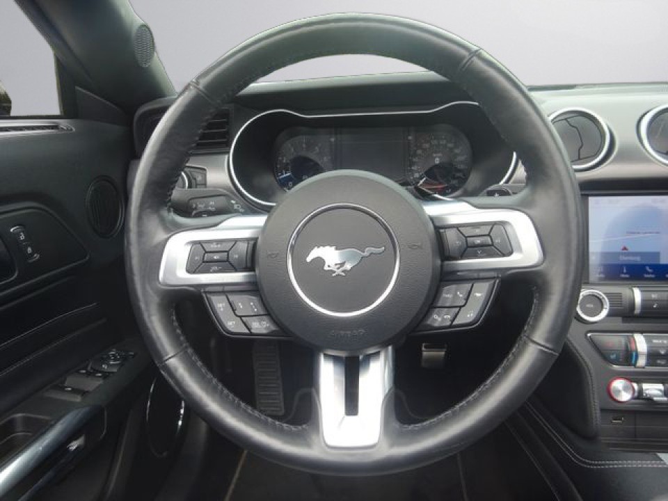 Ford Mustang - foto 16