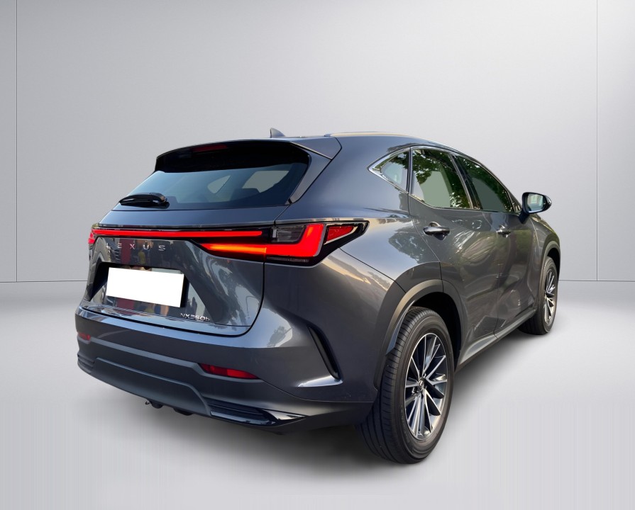 Lexus Seria NX 350h Luxury (3)