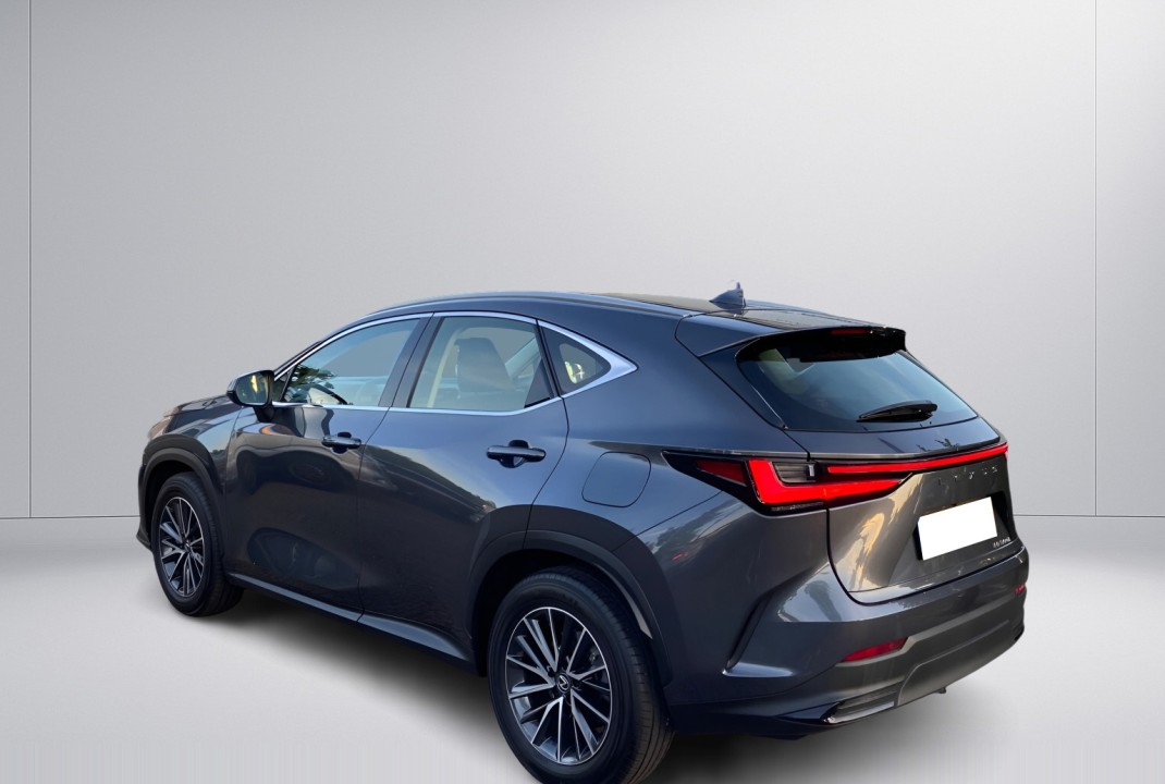 Lexus Seria NX 350h Luxury (4)