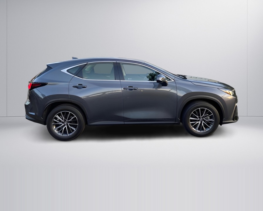 Lexus Seria NX 350h FWD (2)