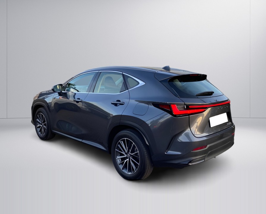 Lexus Seria NX 350h FWD (4)