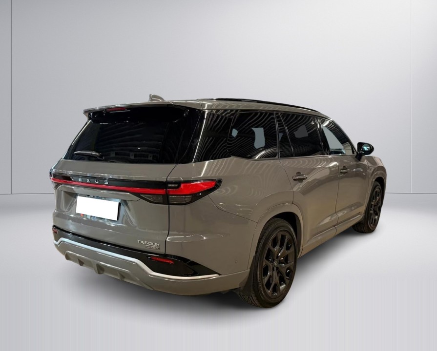 Lexus TX500 H - foto 6