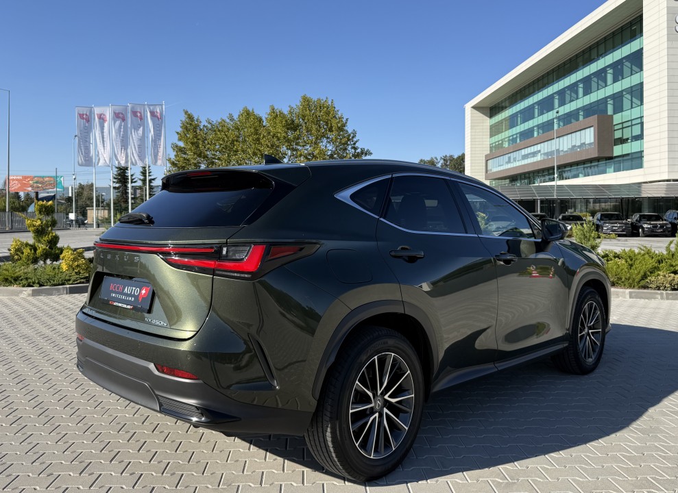 Lexus Seria NX 450h+ AWD Executive (3)
