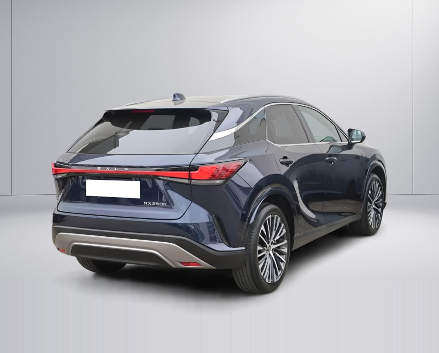 Lexus Seria RX 350h AWD Executive Line (3)