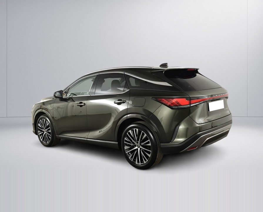 Lexus Seria RX 350h AWD Executive (4)