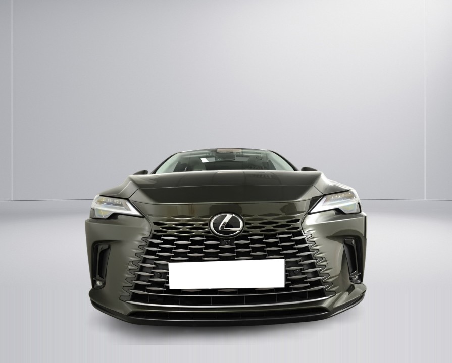 Lexus Seria RX 350h AWD Executive (2)