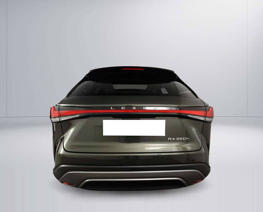 Lexus Seria RX 350h AWD Executive (5)
