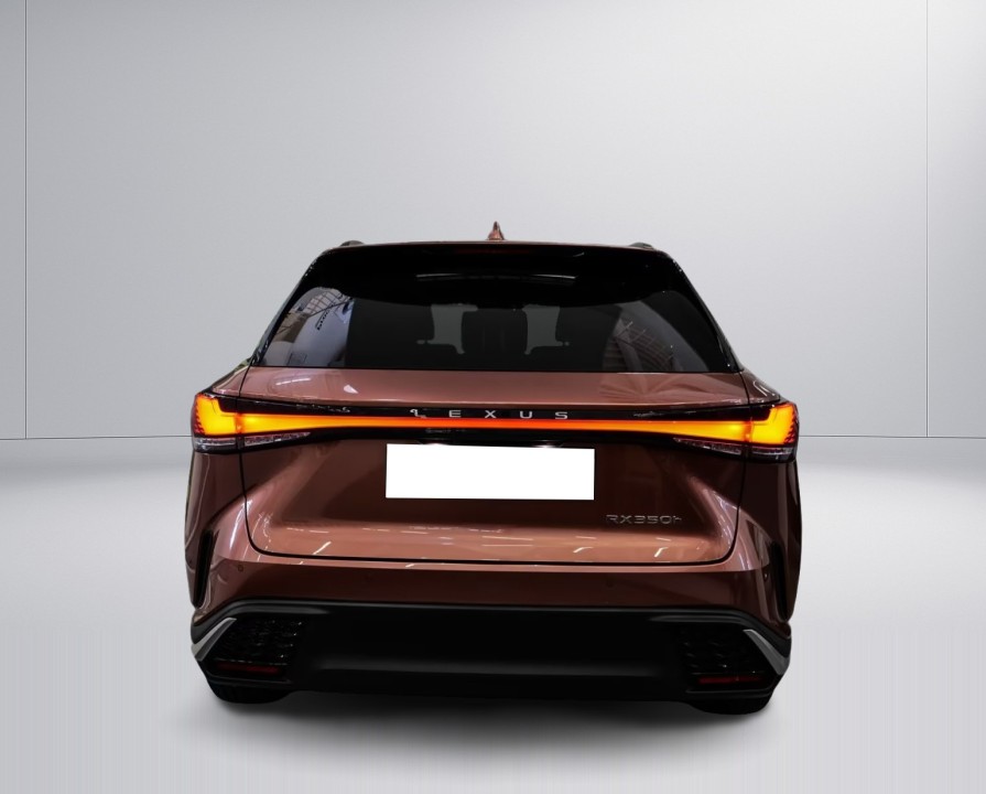 Lexus Seria RX 350h F-Sport (5)