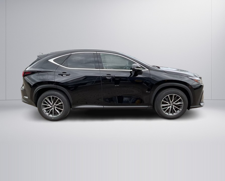 Lexus Seria NX 450h+ (2)