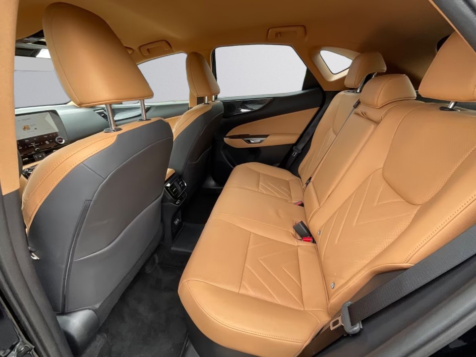 Lexus Seria NX 450h+ - foto 10