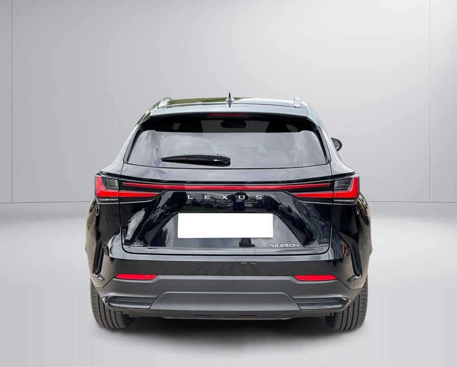 Lexus Seria NX 450h+ (4)