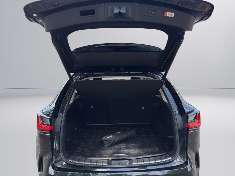 Lexus Seria NX 450h+ Executive - foto 19