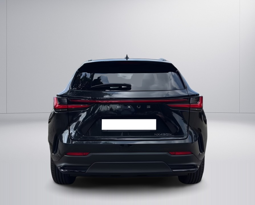 Lexus Seria NX 450h+ Executive (4)