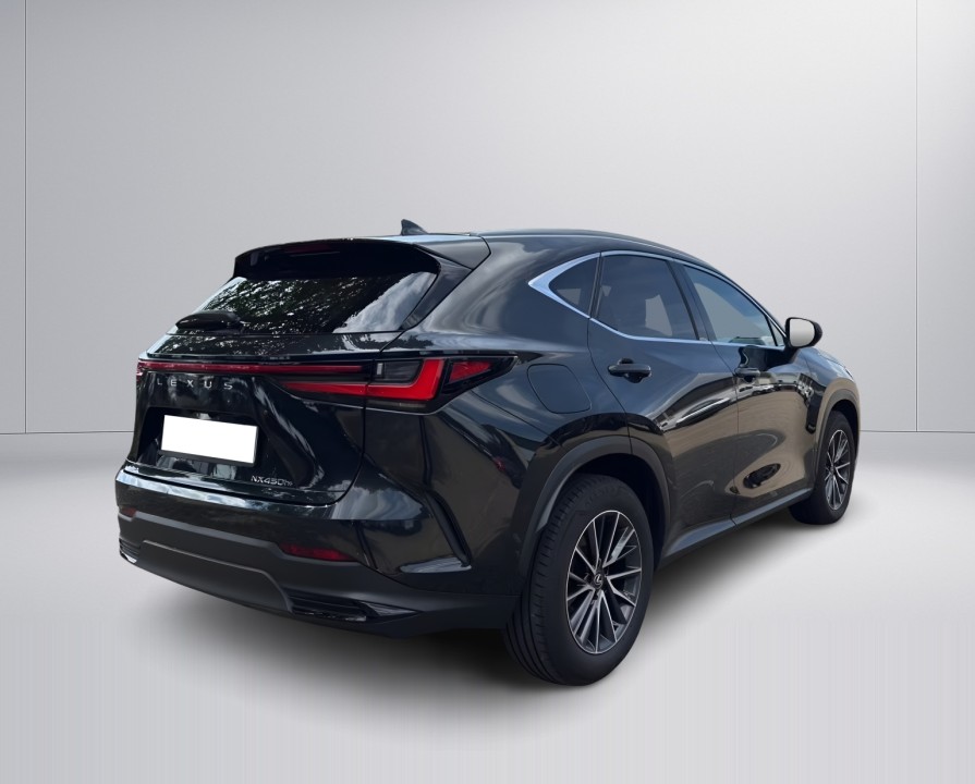 Lexus Seria NX 450h+ Executive (3)