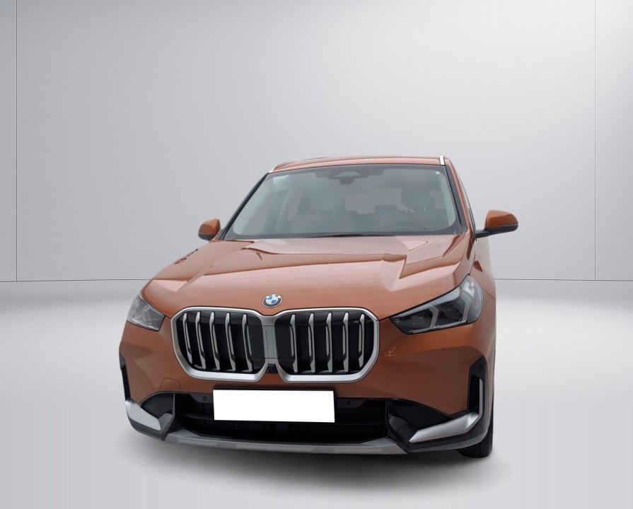 BMW X1 xDrive23d xLine (2)