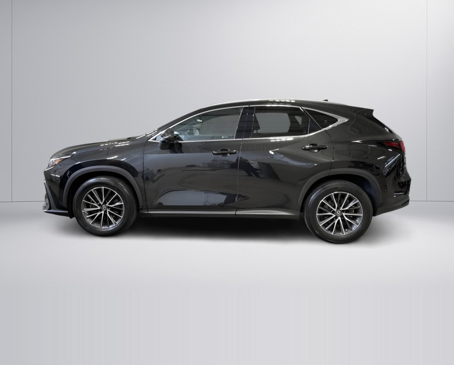 Lexus Seria NX 350h Executive (4)