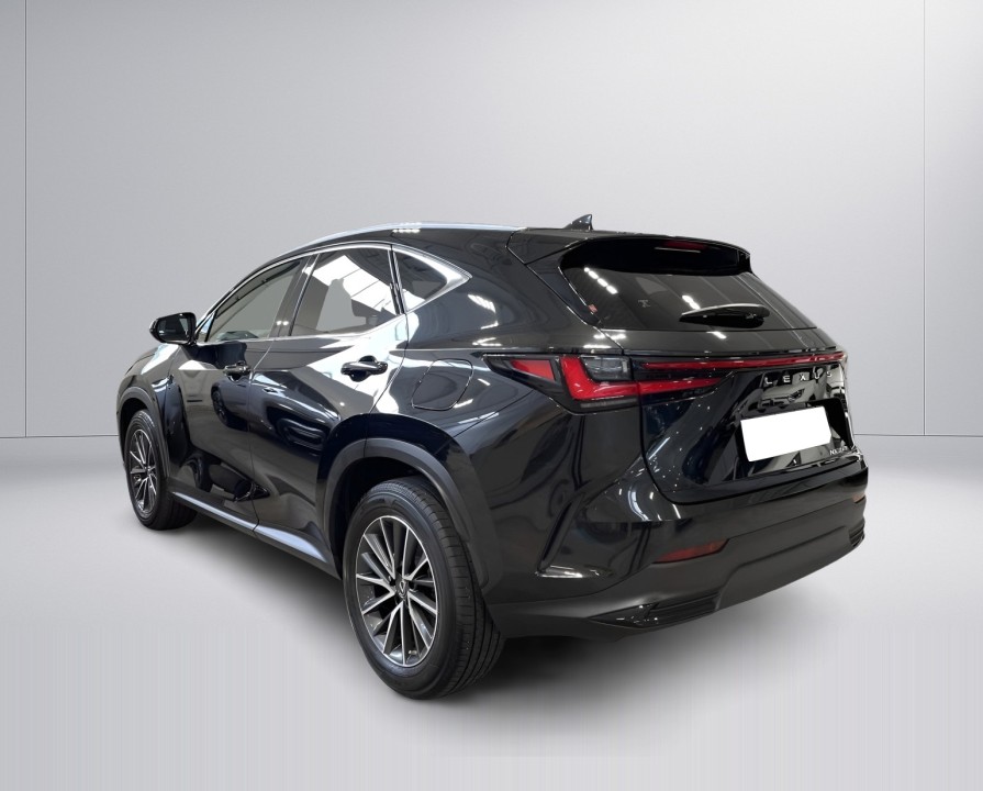 Lexus Seria NX 350h Executive (5)