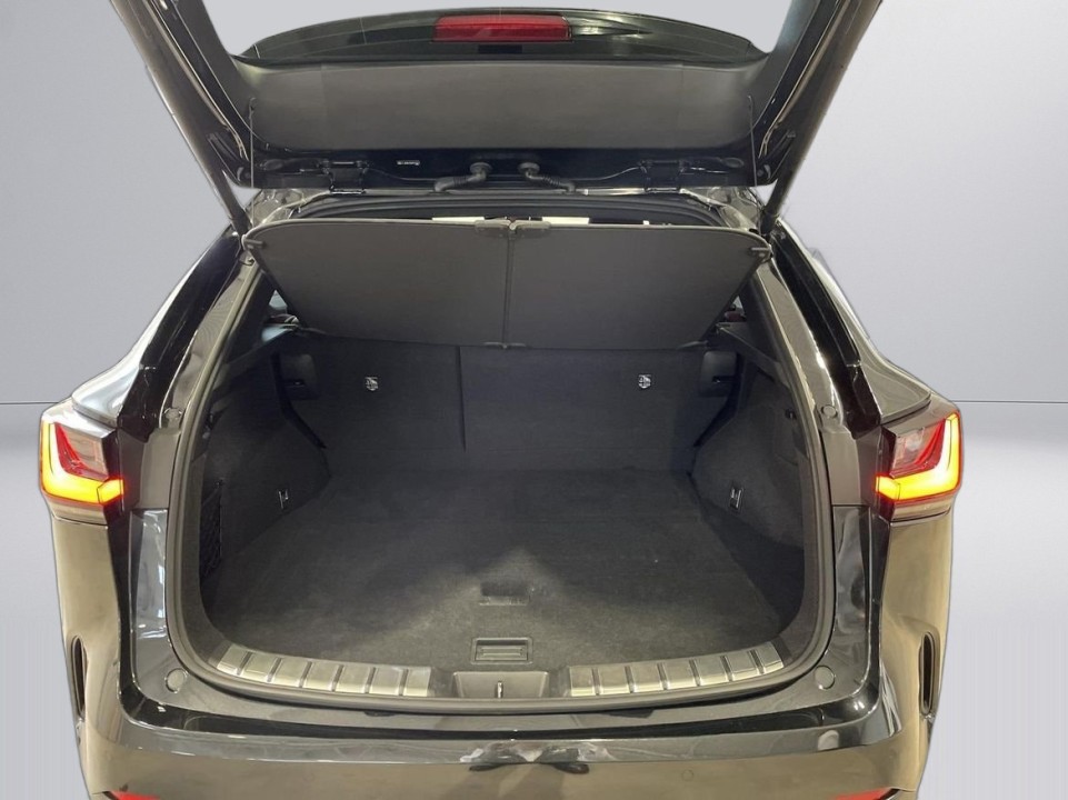 Lexus Seria NX 350h Executive - foto 13