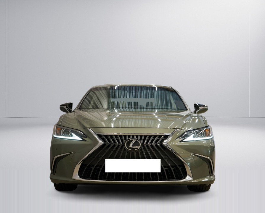 Lexus Seria ES 300h Limited (2)