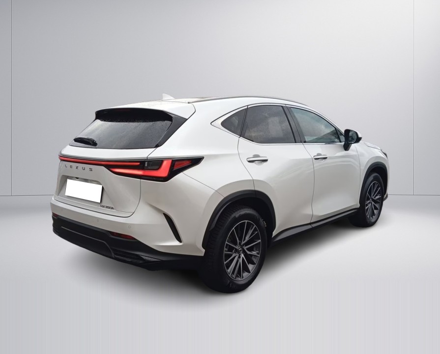 Lexus Seria NX Lexus NX 350h AWD Executive (3)