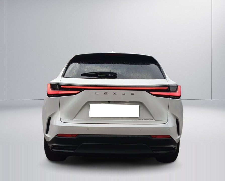 Lexus Seria NX Lexus NX 350h AWD Executive (4)