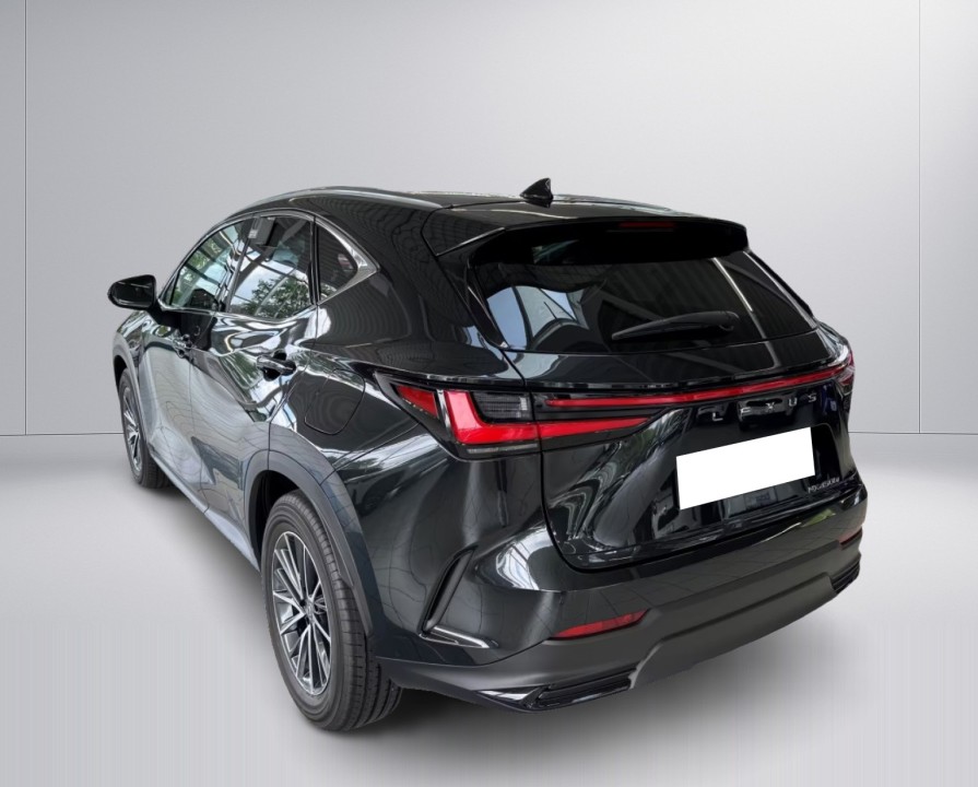 Lexus Seria NX 450h+ E-FOUR Business (3)