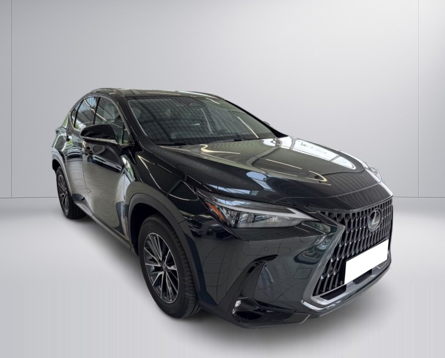 Lexus Seria NX 450h+ E-FOUR Business