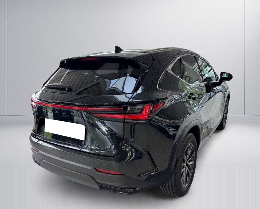 Lexus Seria NX 450h+ E-FOUR Business (4)