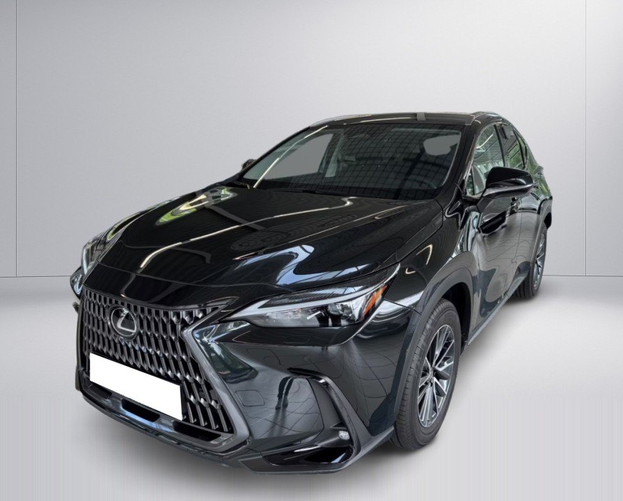 Lexus Seria NX 450h+ E-FOUR Business (2)