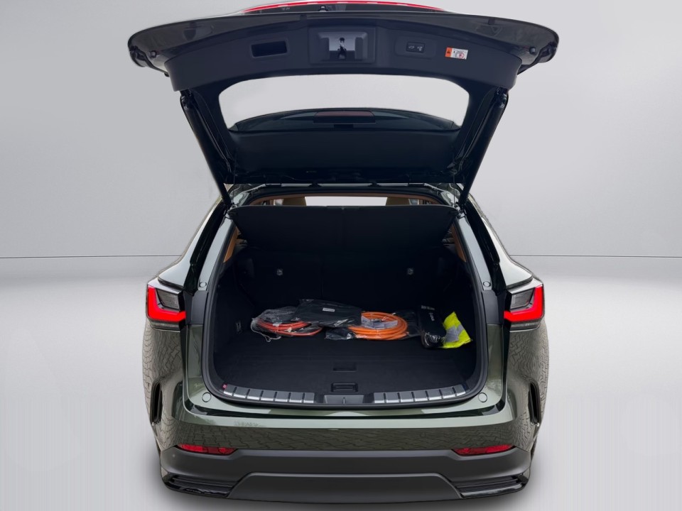 Lexus Seria NX 450h+ Executive - foto 38