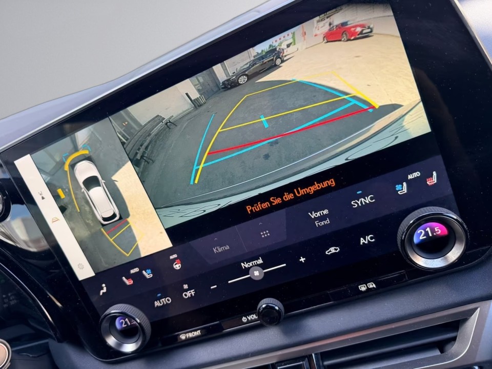 Lexus Seria RX 450h+ Luxury Line - foto 9