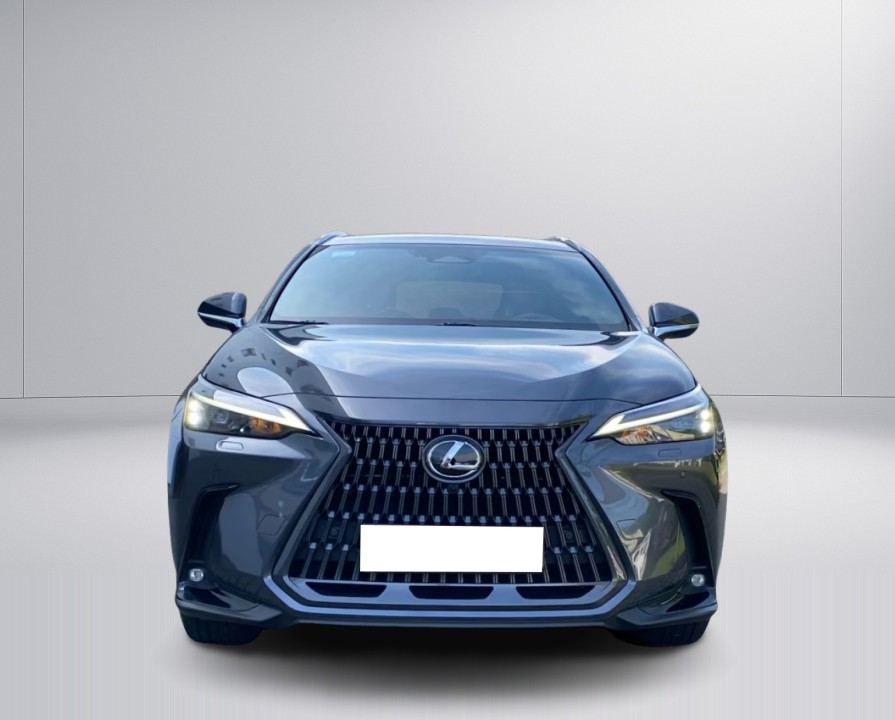 LEXUS NX 2022 — imagine 17