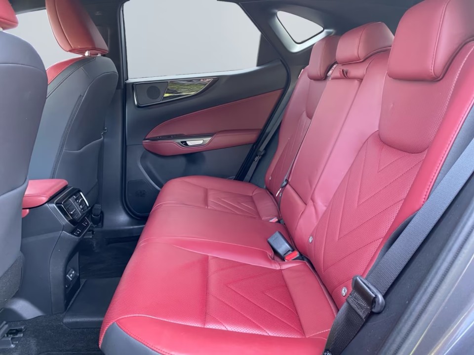 LEXUS NX 2022 — imagine 19