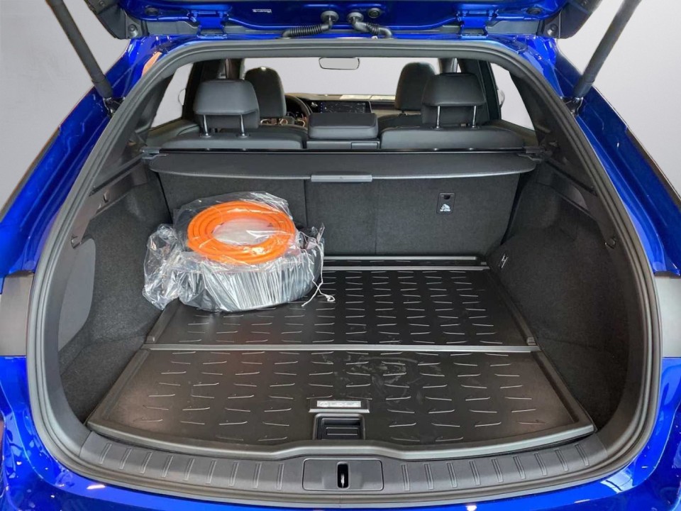 Lexus Seria RX 450h+ E-FOUR F-SPORT - foto 11