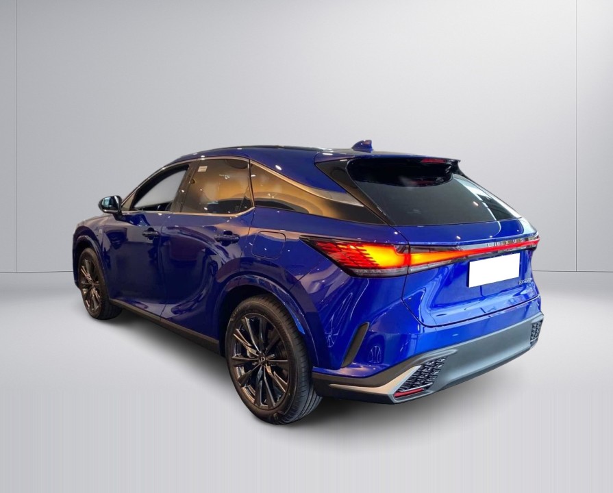 Lexus Seria RX 450h+ E-FOUR F-SPORT (4)