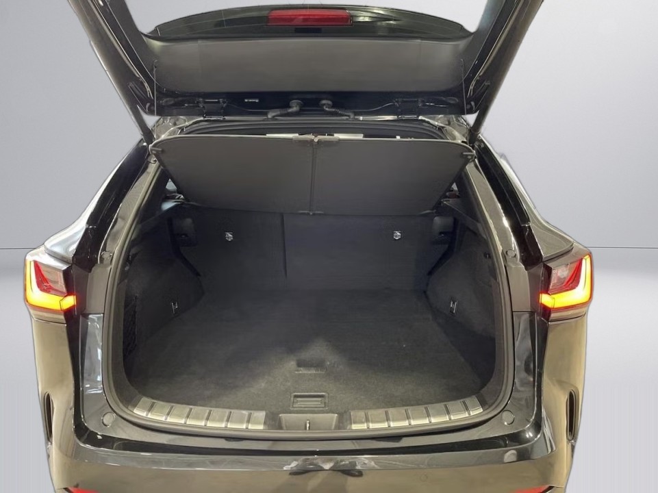 Lexus Seria NX 350h AWD Executive - foto 14