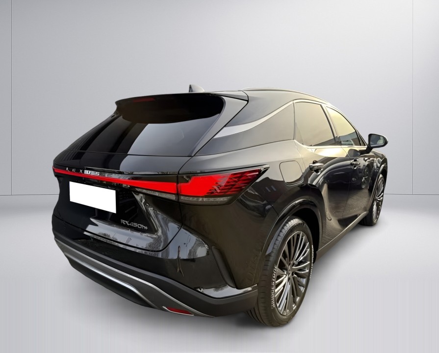 Lexus Seria RX 450h + Luxury Line (3)