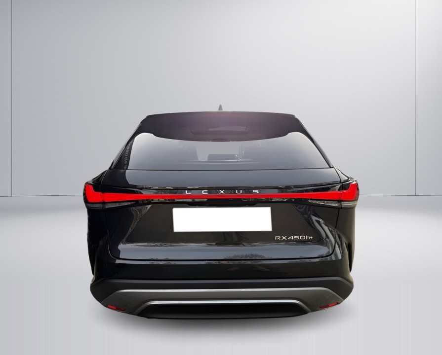Lexus Seria RX 450h + Luxury Line (4)